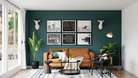 ALPACA home decor